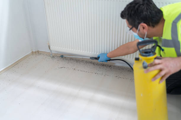 Best Best Pest Control Near Me  in El Jebel, CO